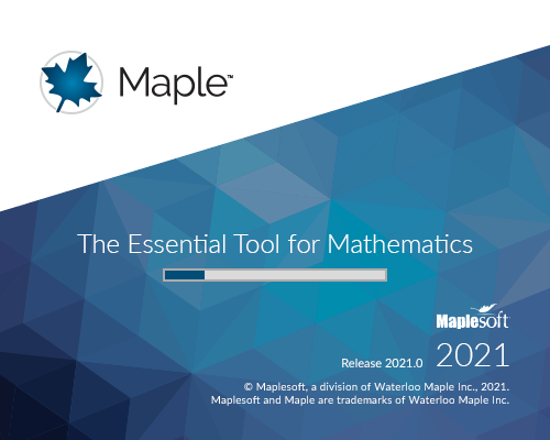 Maple 2021命令输入界面截图