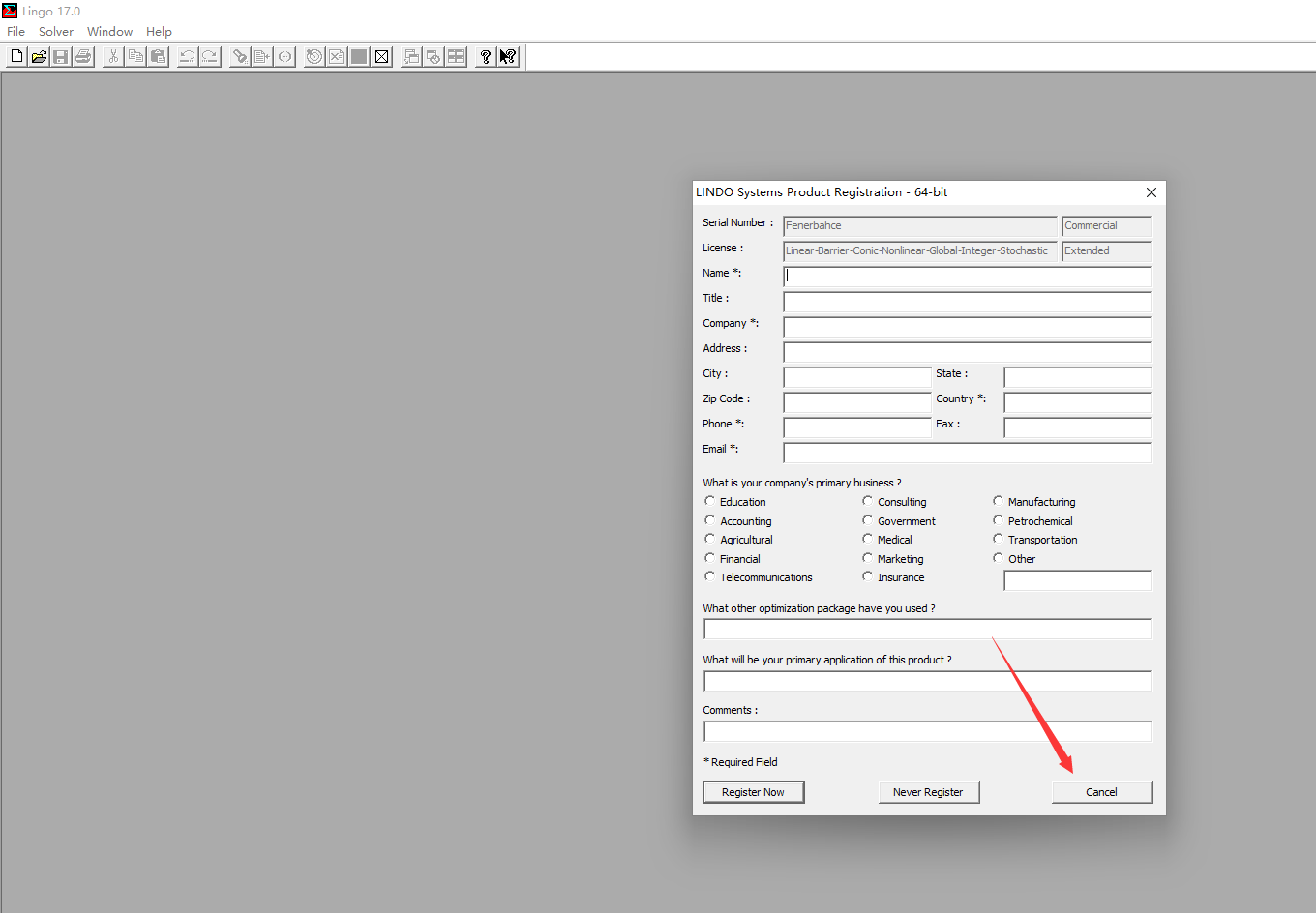 LINGO 17编辑窗口界面截图