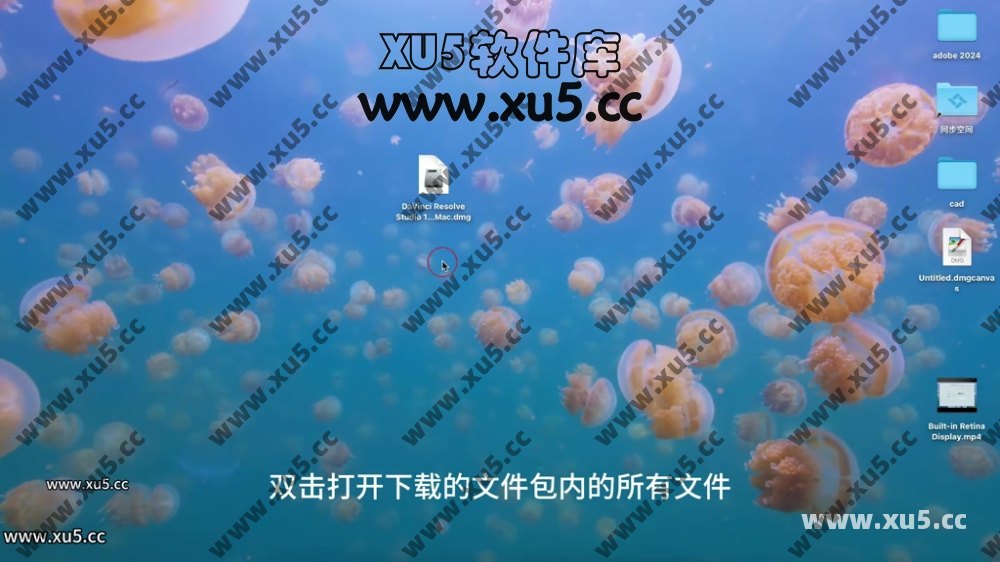 达芬奇18.6 for MAC 图文安装教程