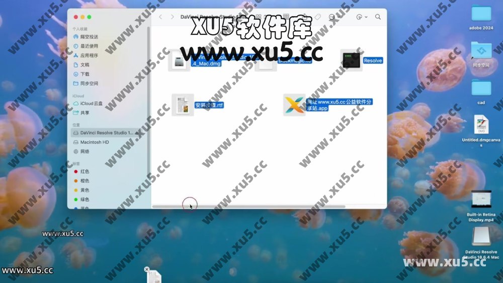 达芬奇18.6 for MAC 图文安装教程