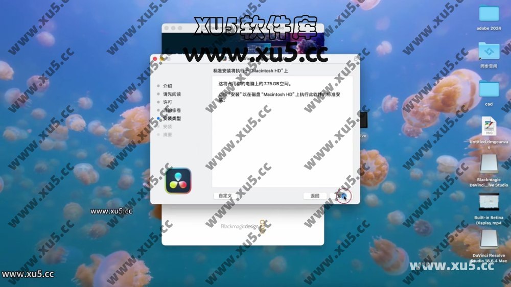 达芬奇18.6 for MAC 图文安装教程