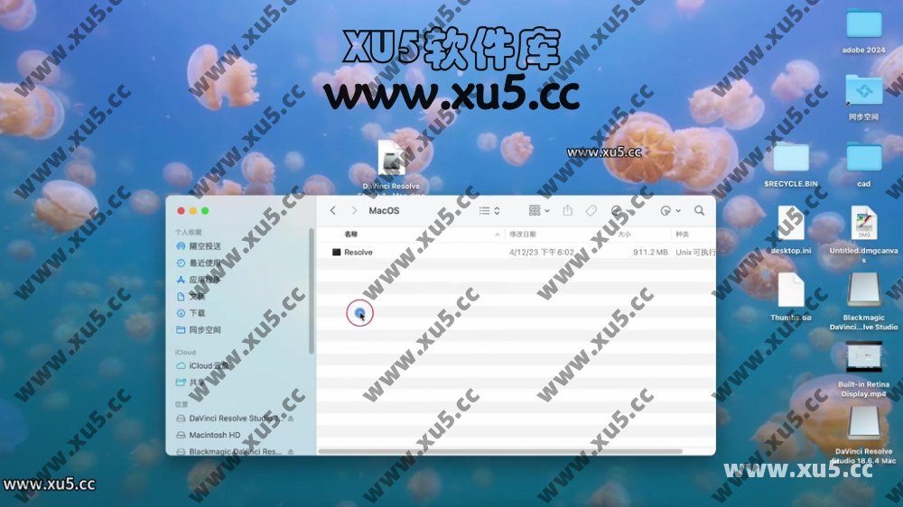 达芬奇18.6 for MAC 图文安装教程
