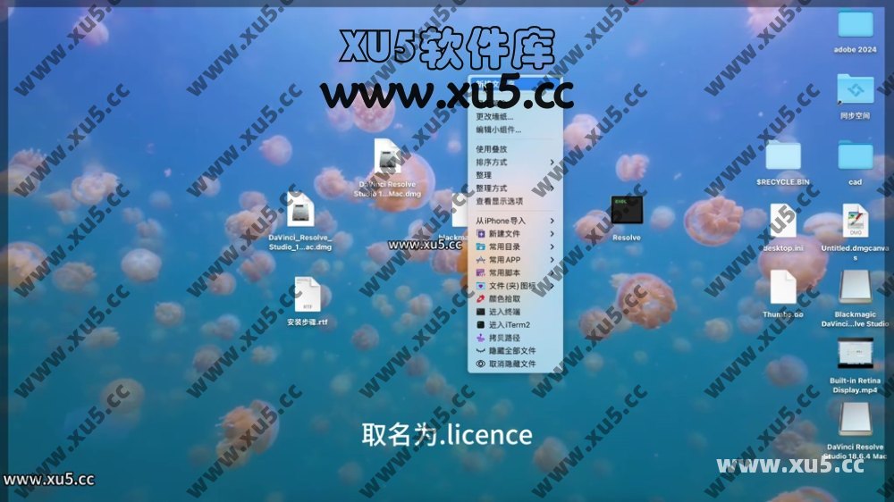 达芬奇18.6 for MAC 图文安装教程