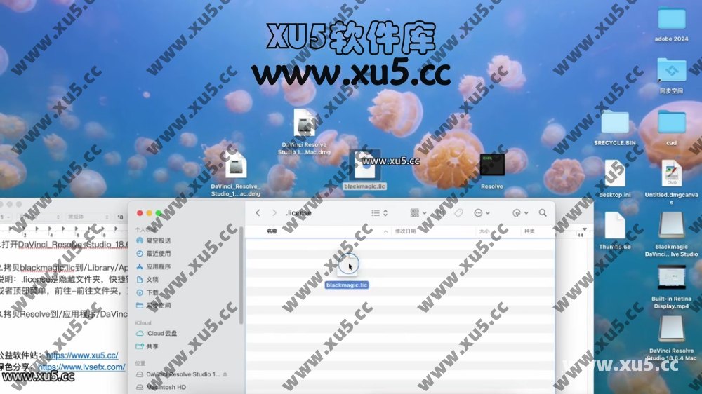达芬奇18.6 for MAC 图文安装教程