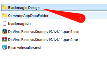 DaVinci Resolve v19.1.4.11 音频功能界面
